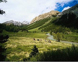 神仙级操作 《战地2042》玩家用飞刀击杀飞行员